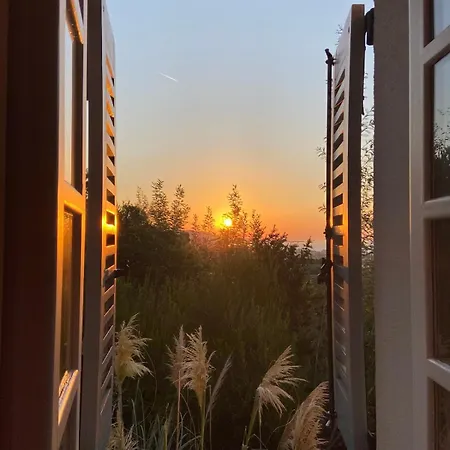 빌라 Luxury Modern Provencal Infinity Pool Epic Seaview Near Cannes Festival-ready *